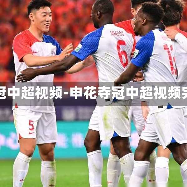 申花奪冠中超視頻-申花奪冠中超視頻完整版